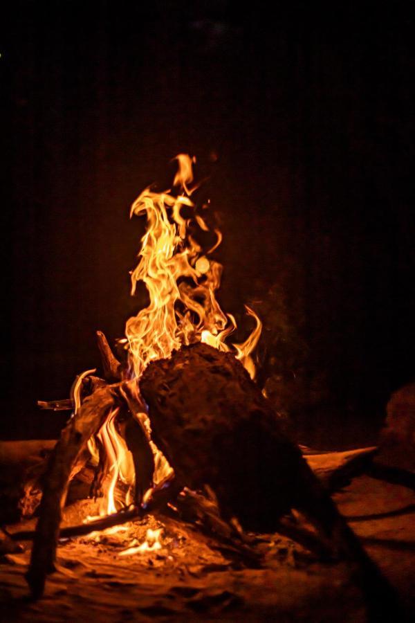 Yala Eco Bush Camp Exterior foto