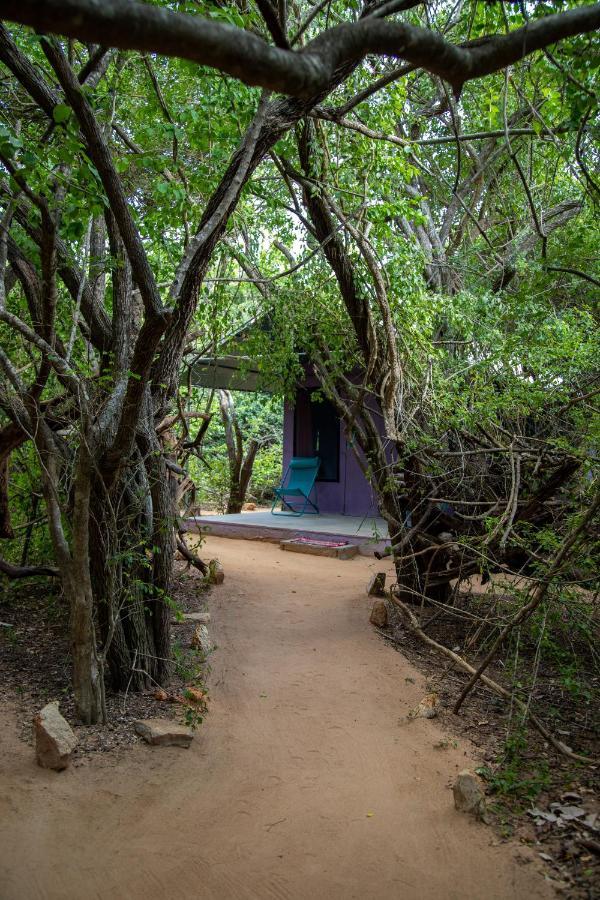 Yala Eco Bush Camp Exterior foto