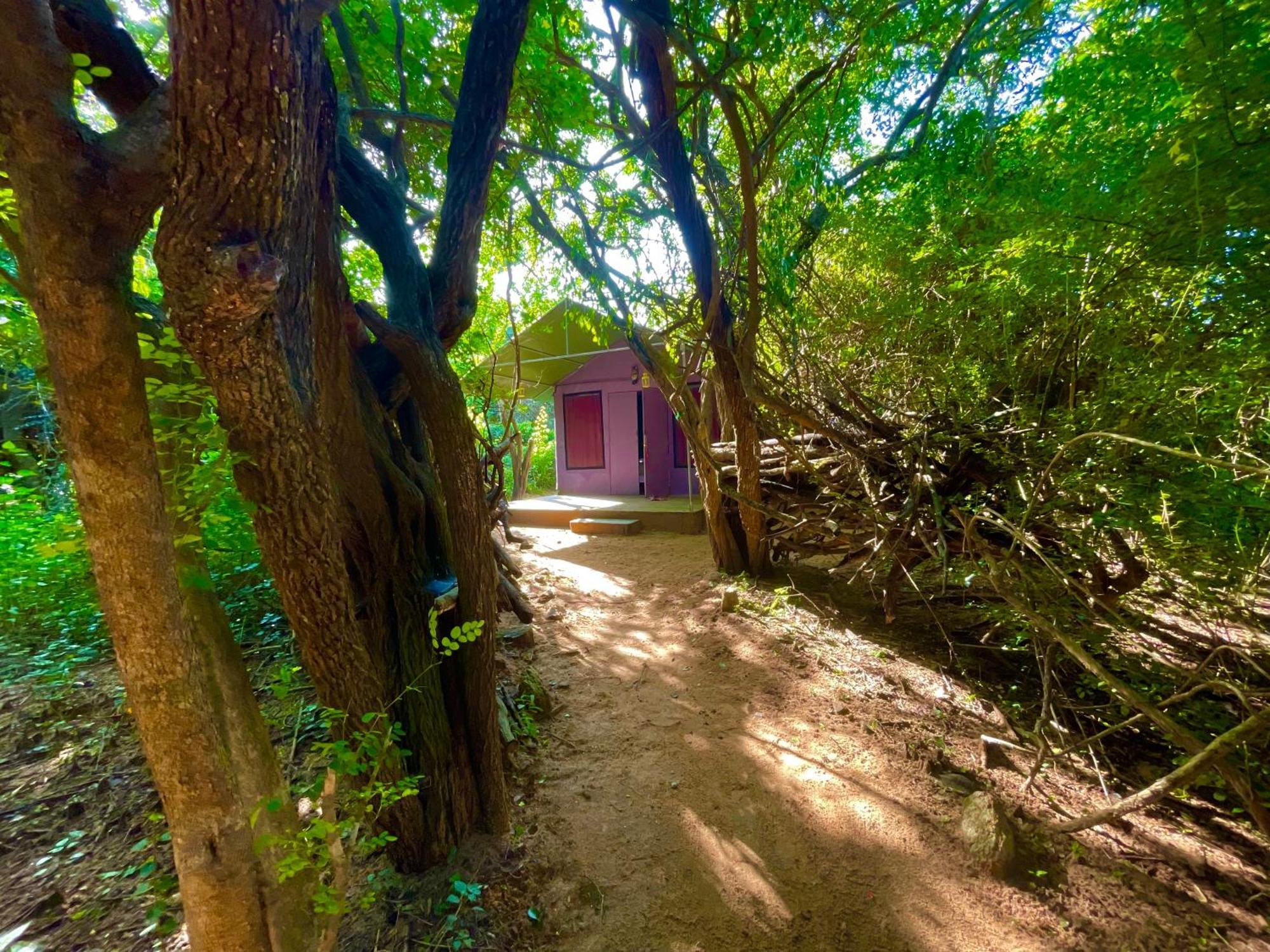 Yala Eco Bush Camp Exterior foto