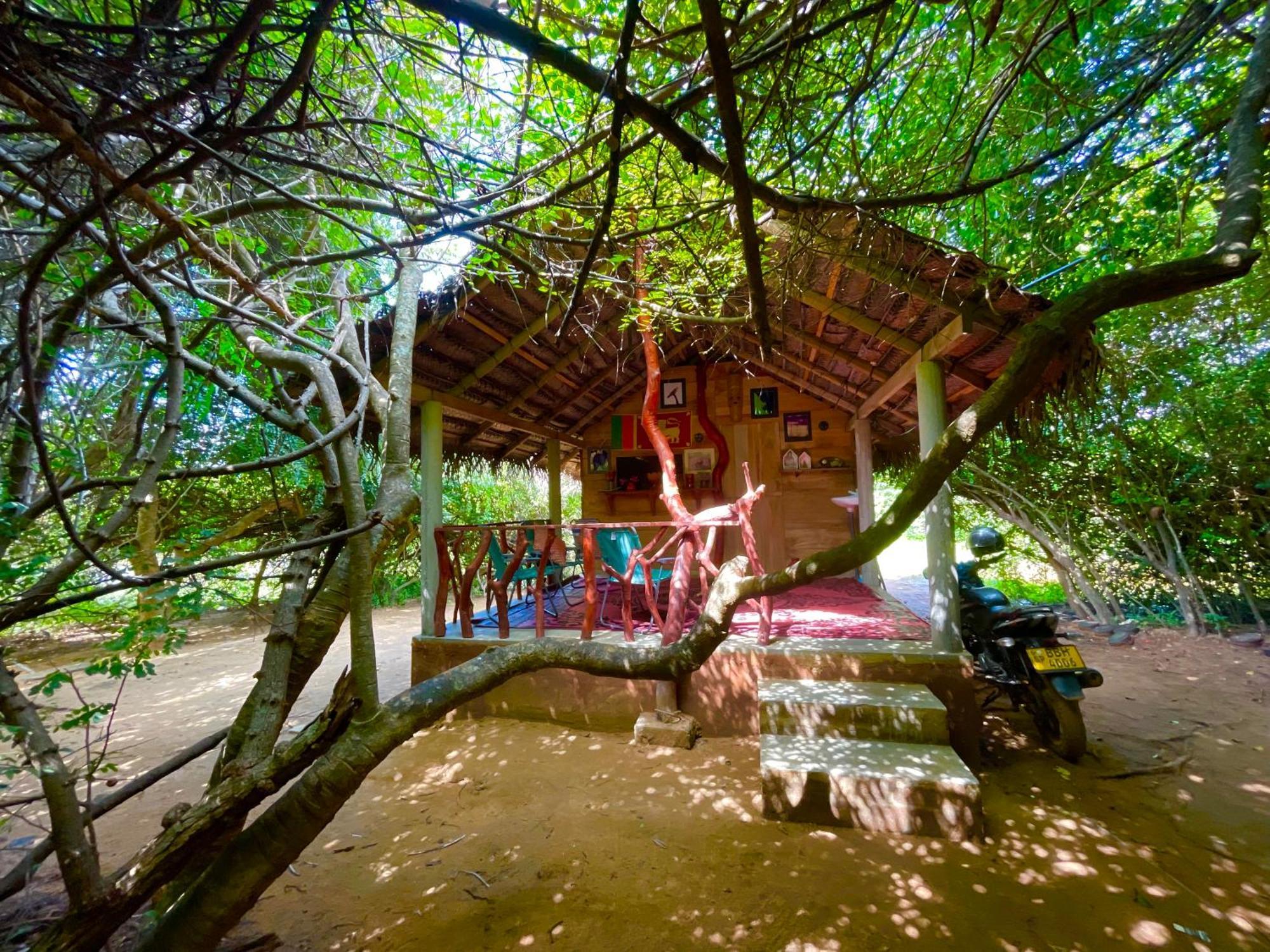 Yala Eco Bush Camp Exterior foto