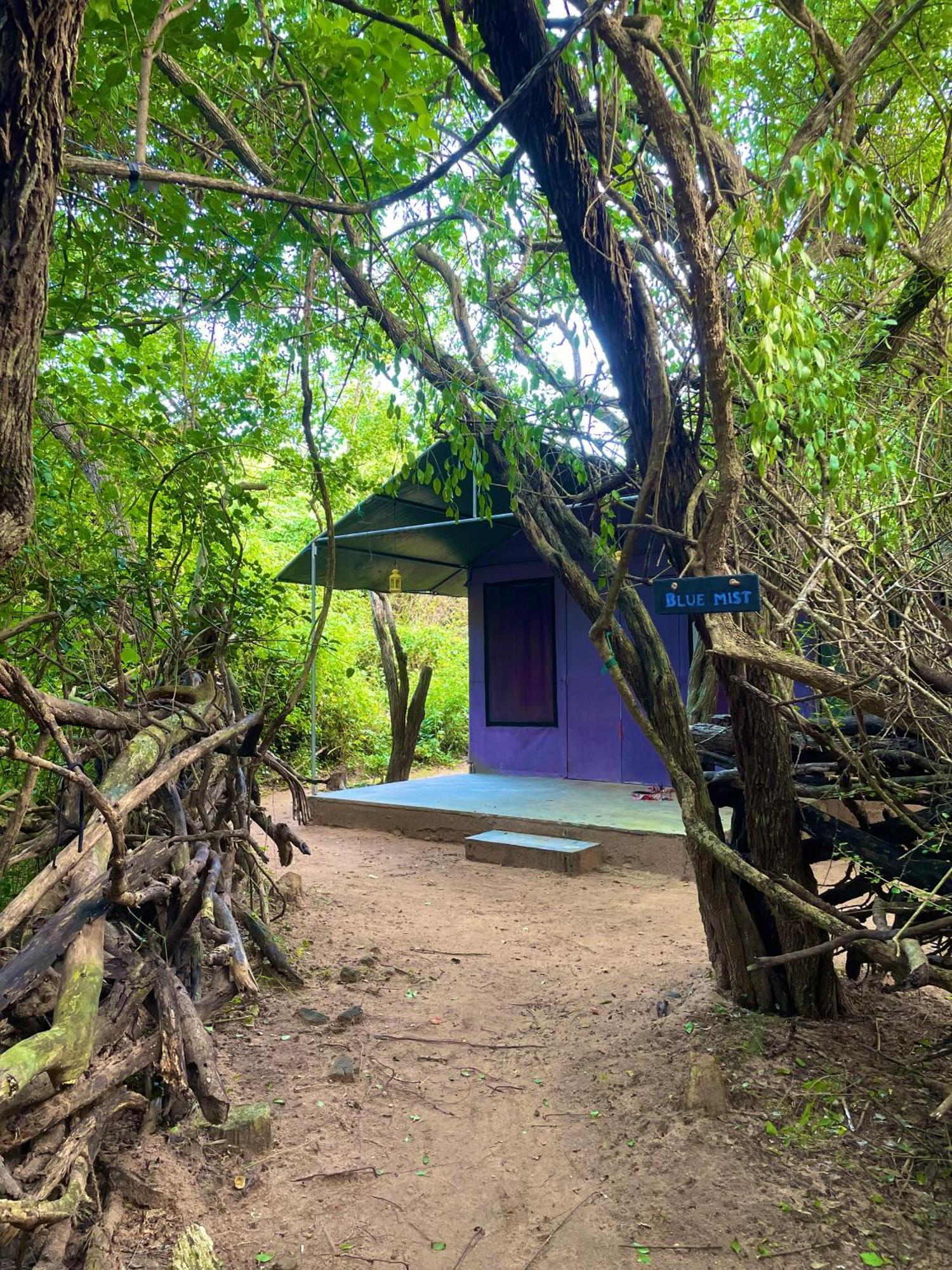 Yala Eco Bush Camp Exterior foto