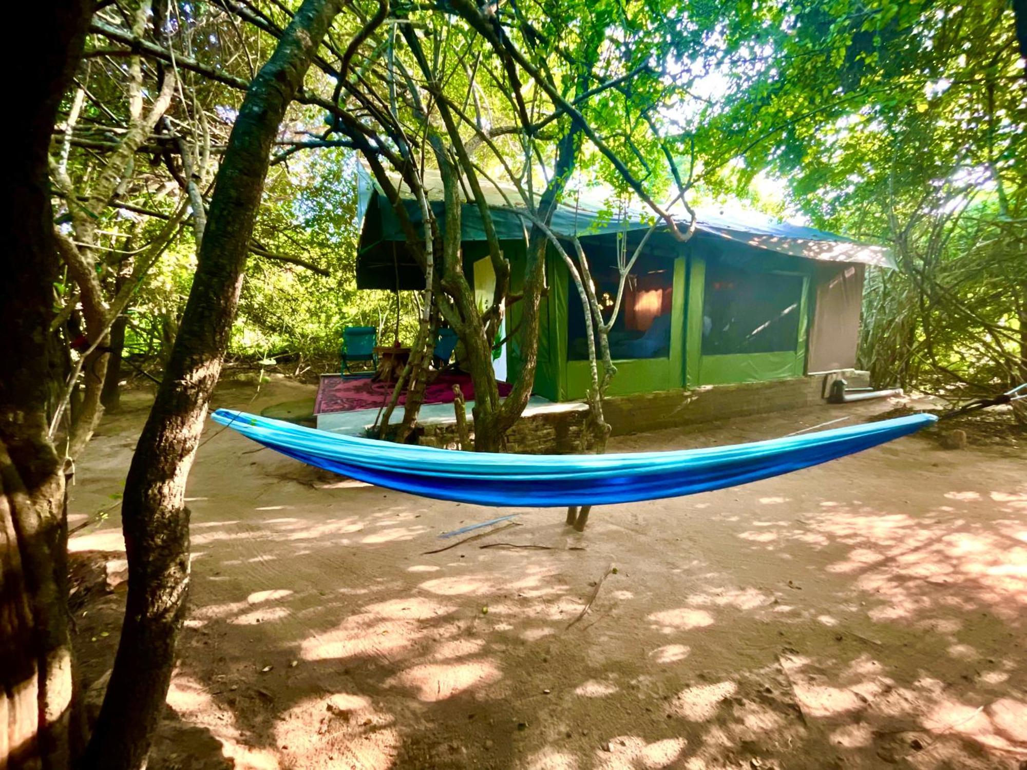 Yala Eco Bush Camp Exterior foto