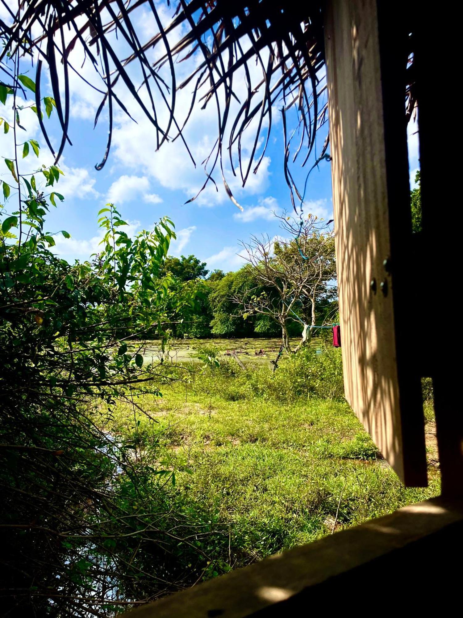 Yala Eco Bush Camp Exterior foto