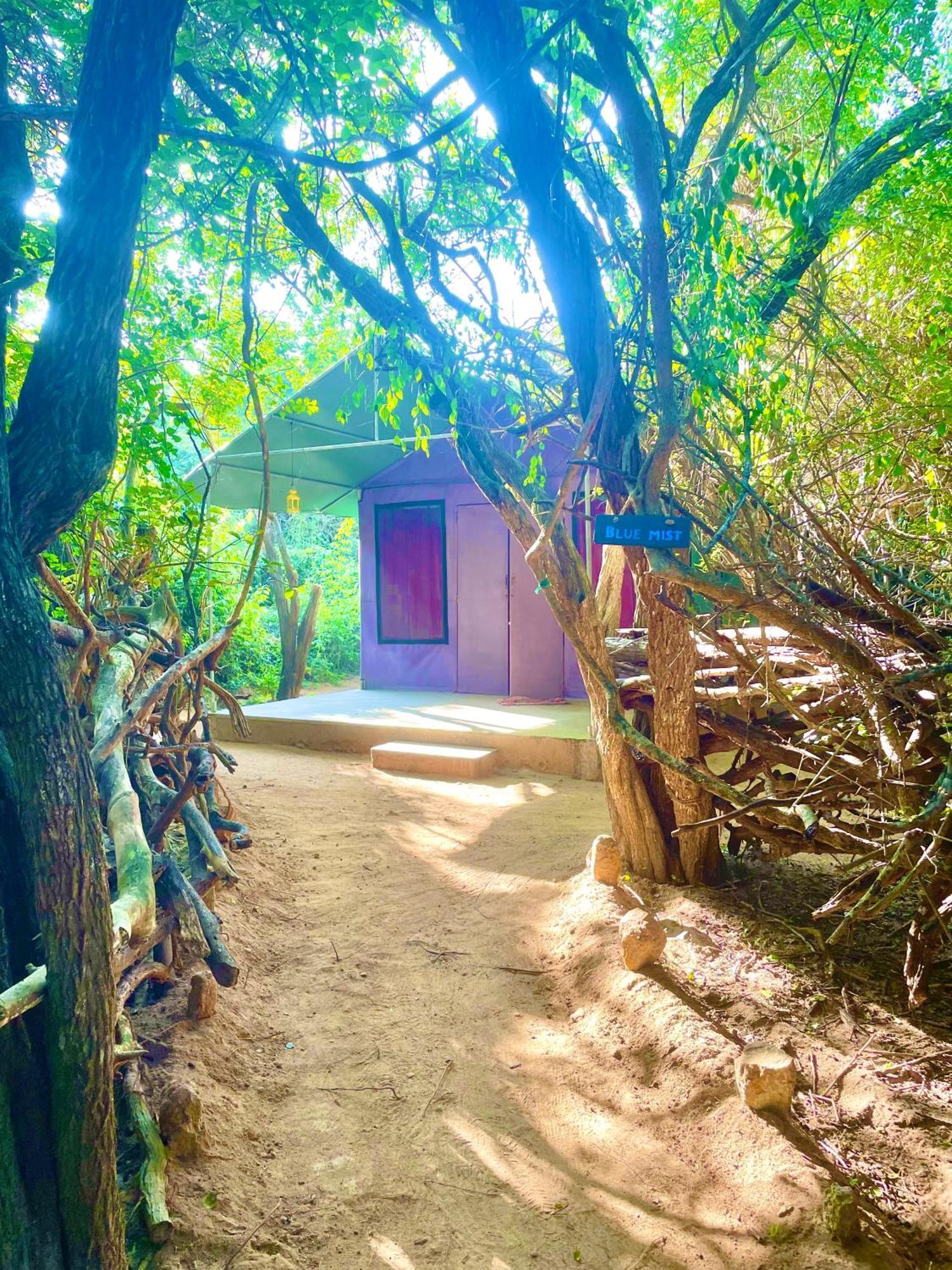 Yala Eco Bush Camp Exterior foto