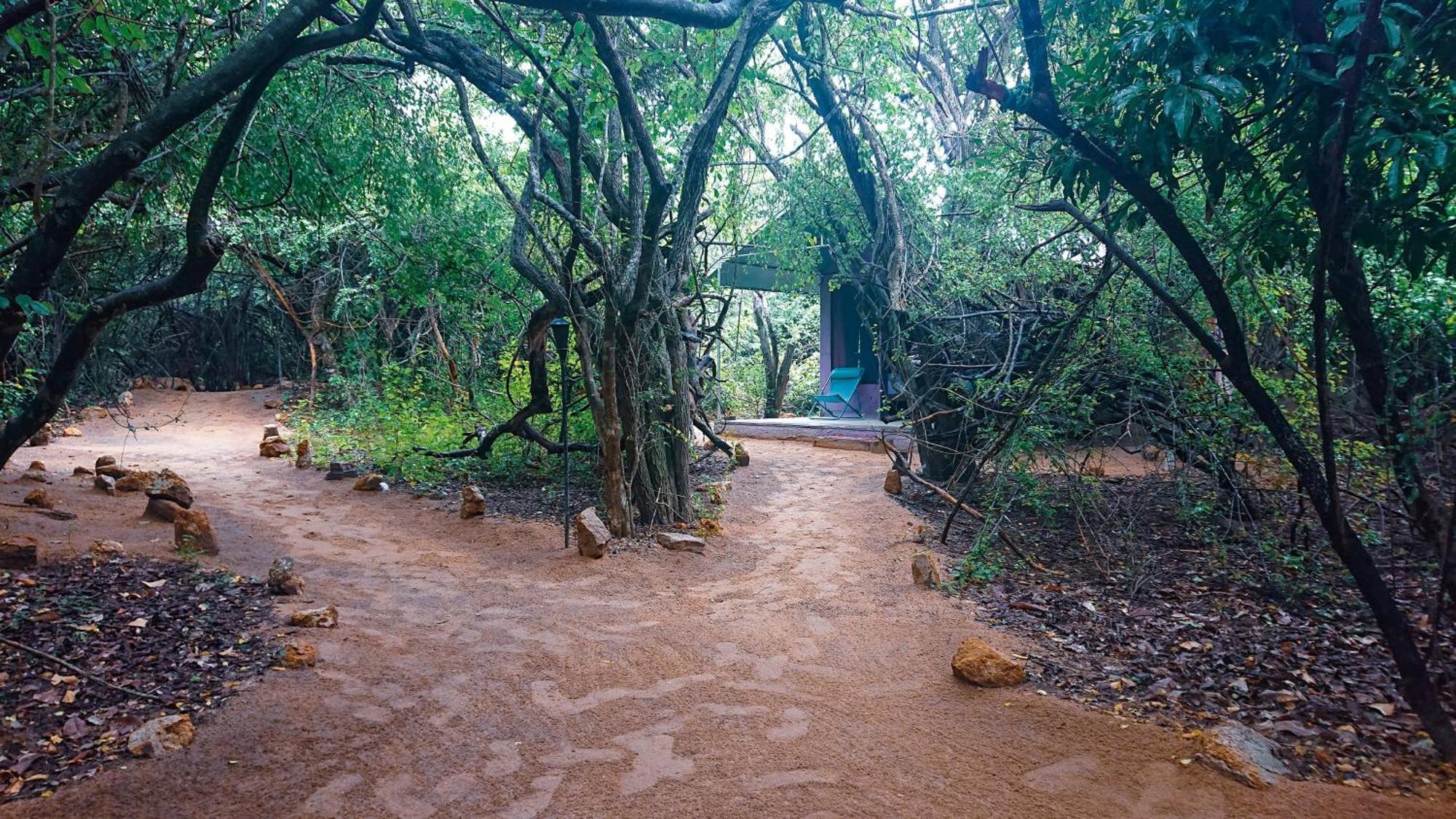 Yala Eco Bush Camp Exterior foto
