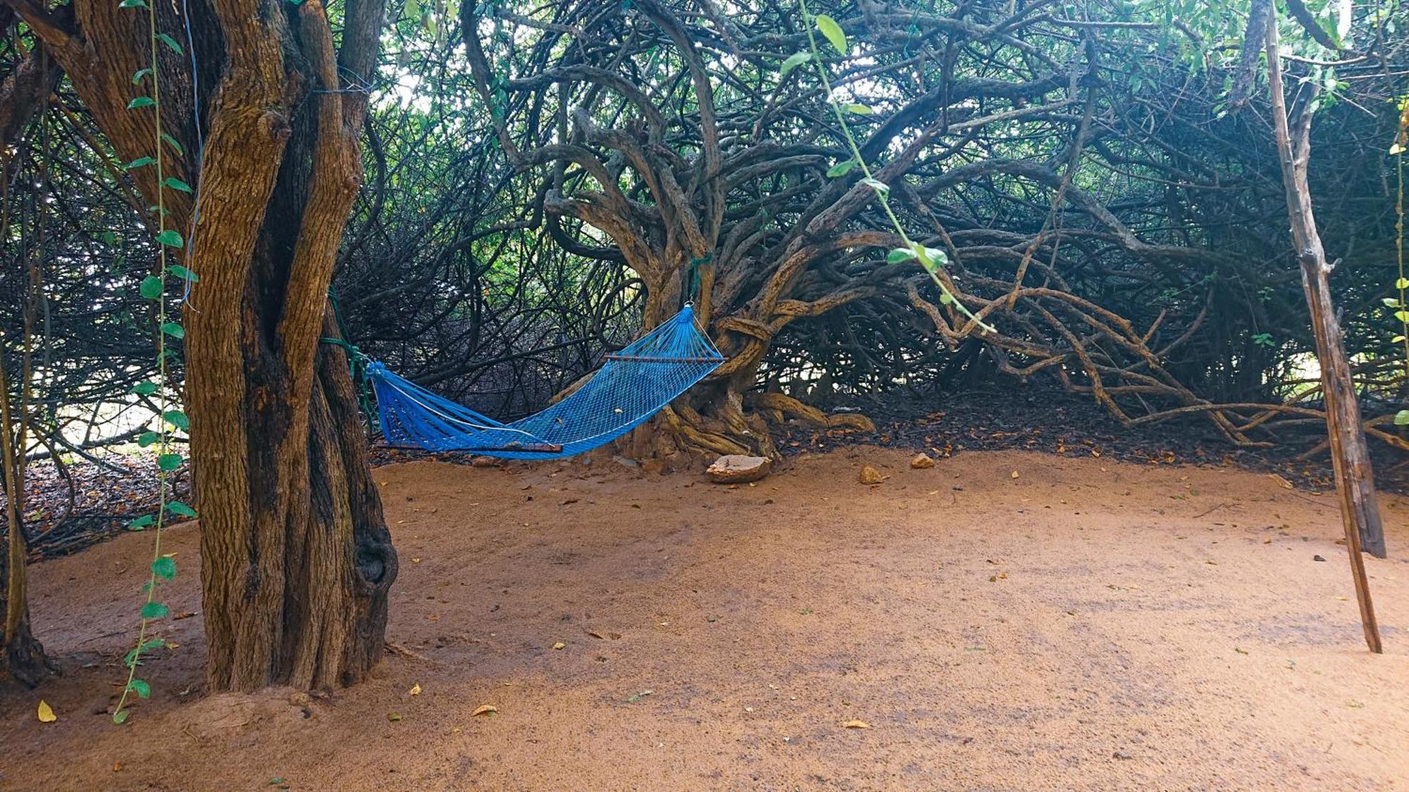 Yala Eco Bush Camp Exterior foto
