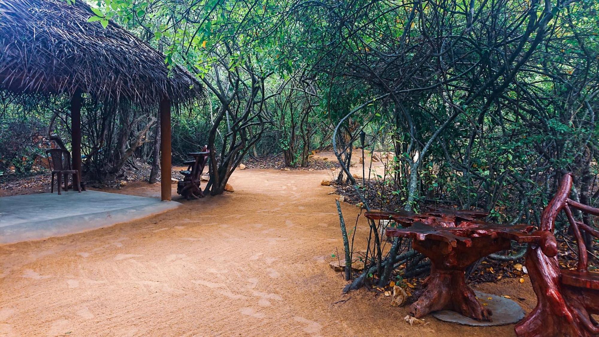 Yala Eco Bush Camp Exterior foto