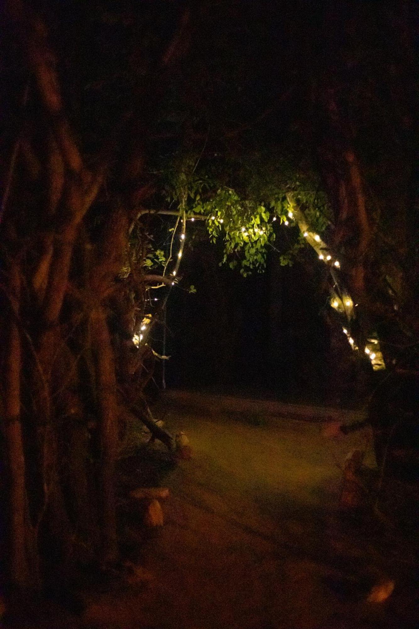 Yala Eco Bush Camp Exterior foto